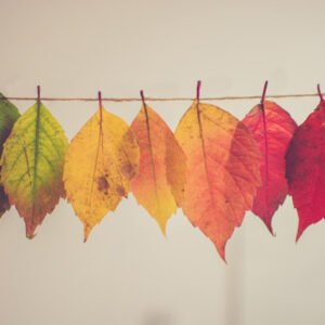 Seasons